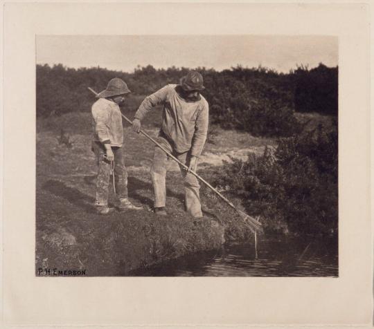 Eel-Picking in Suffolk Waters