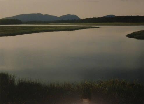 Tidal Marsh, Mount Desert Island, Maine