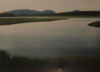 Tidal Marsh, Mount Desert Island, Maine