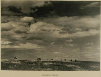 The Steppe: Ukraine