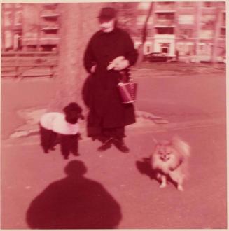 [person in black clothing with two dogs and shadow in foreground]