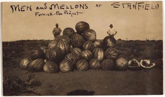 Men and Melons at Stanfield Furnish-Coe Project