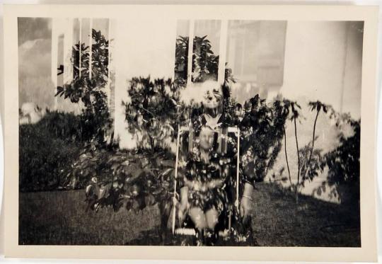 [woman in chair on lawn with foliage]