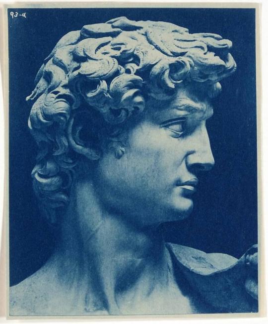 [head of Michaelangelo's 'David']