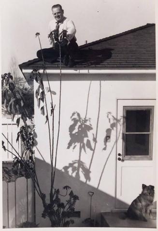 [man sitting on top of house roof reaching our toward plant with dog at bottom right]