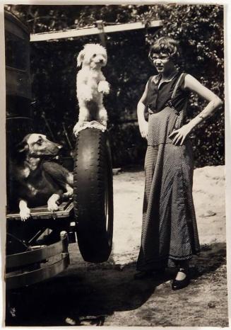 [young woman with two dogs on back of automobile]