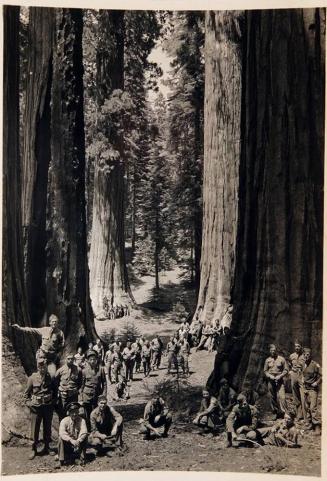 [42 men posing between large trees]