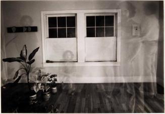 [long exposure with man and house plants]