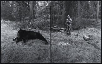 Black Bear, Alberta