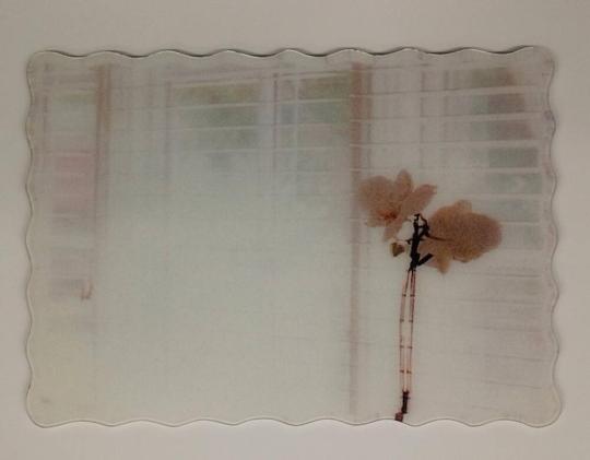 Mirror (from Home Décor Catalogs and Websites)