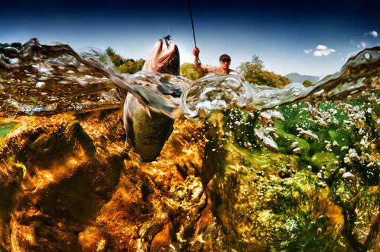 Fisherman on Tara River, Montenegro