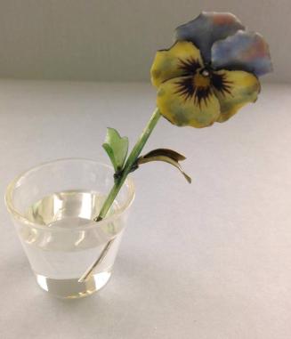 Flower Study of a Pansy