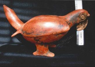 Parrot Effigy Vessel