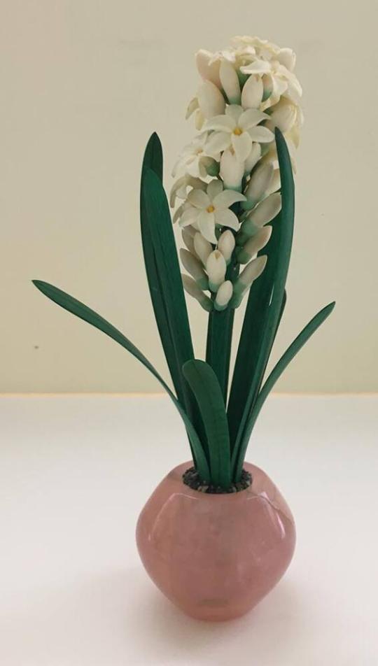 Study of a Hyacinth