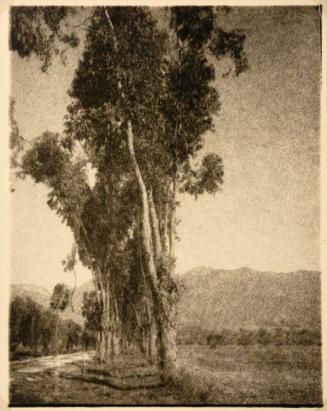 [Landscape with trees]