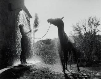 Shower/Buonconvento Italy