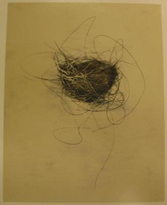 Horse Hair Nest