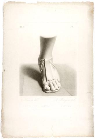 Pieds, Cahier 11, Plate 3