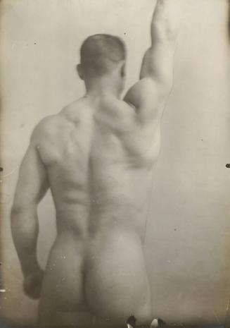 [Musculature Study, Back]