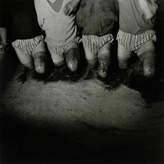 Grape Stomp, Portugal