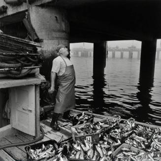 Fisherman, Portugal