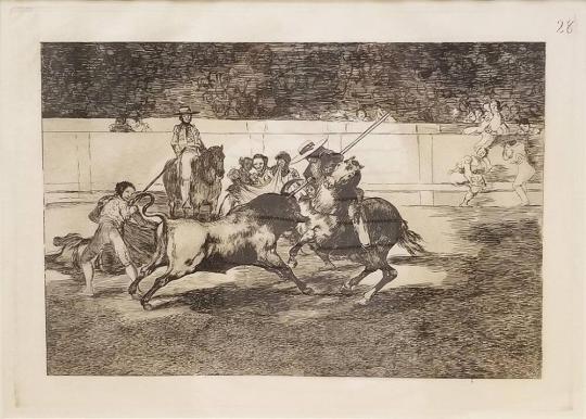 El esforzado Rendon picando un toro, de cuya suerte murio en la plaza de Madrid (The Forceful Rendon  biting a bull, whose luck died in the arena in Madrid), Plate 28 from La Tauromaquia