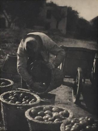 [Man with Basket of Apples]