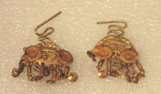 Pair of Ear Ornaments