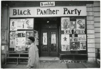 The N.Y. Black Panthers