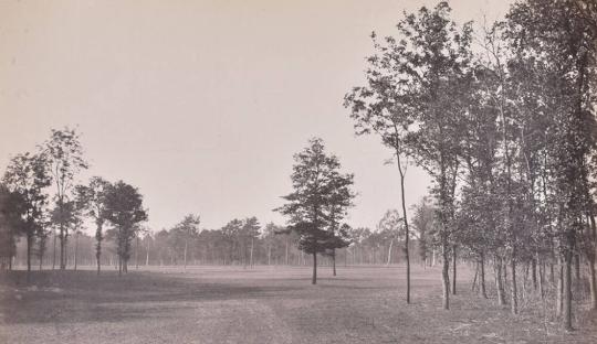 [Bois de Boulogne, Paris]