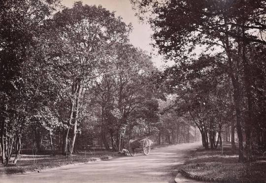 [Route de Suresnes, Bois de Boulogne, Paris]