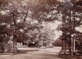 [Bois de Boulogne, Paris]