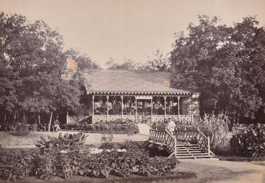 [Bois de Boulogne, Paris]