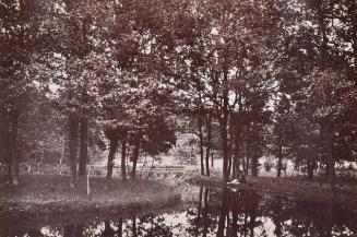 [Stream of Armenonville, Bois de Boulogne, Paris]