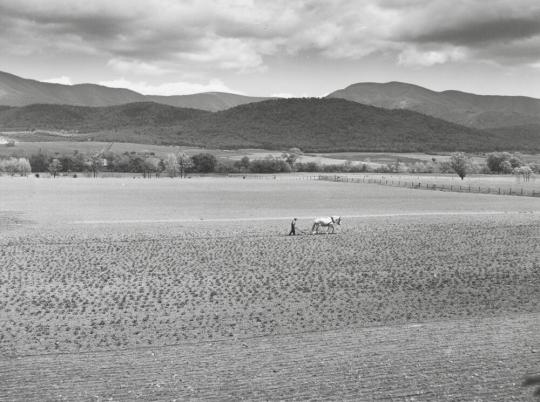 Shenandoah, Virginia