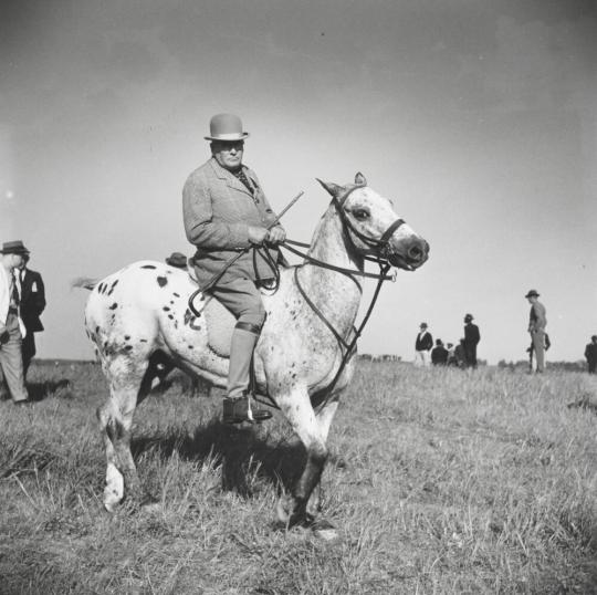 One of the Judges at the Horse Race, Warrenton, Virginia