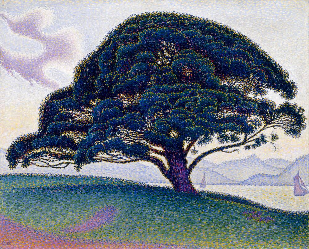 The Bonaventure Pine in Saint-Tropez, opus 239 | All Works | The