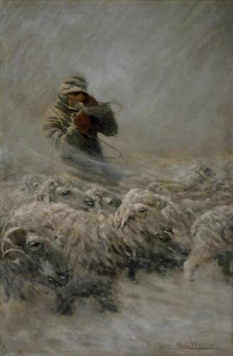 Sheep Herder