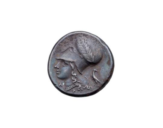 Stater with Athena, Eagle, & Alpha on Reverse and Pegasus on Obverse