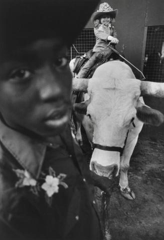 Black Boy Close Up and Shirley Temple on Bull