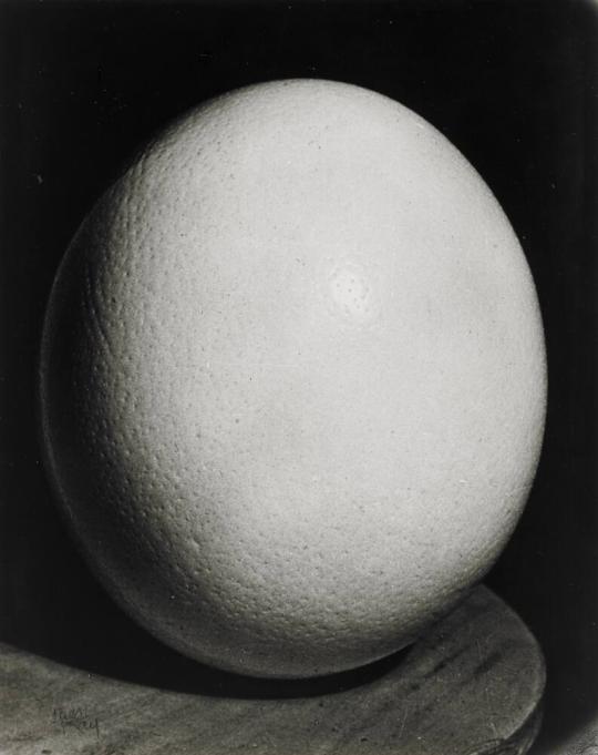 Ostrich Egg