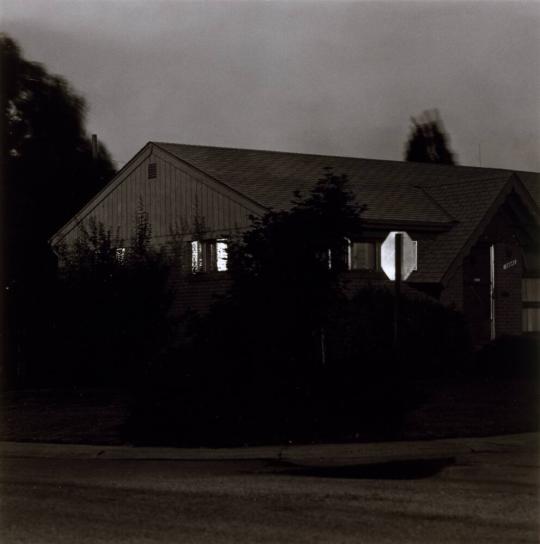 robert adams summer nights