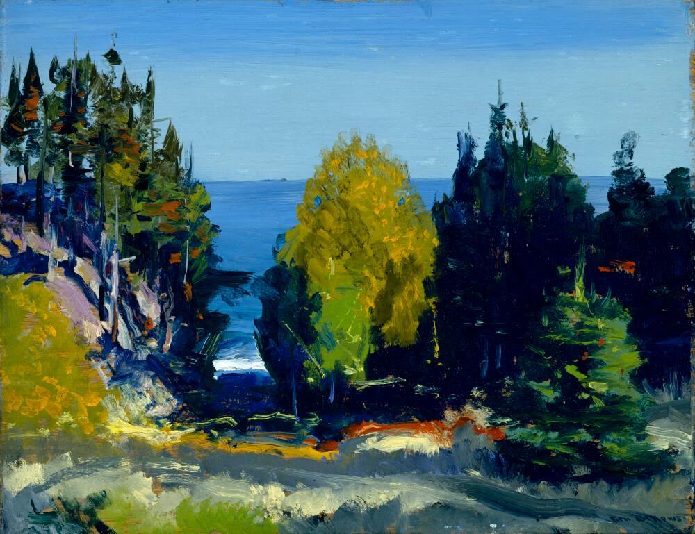 The Grove - Monhegan