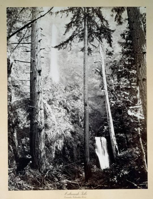 Multnomah Falls, Cascades, Columbia River