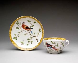 Tea Cup and Saucer