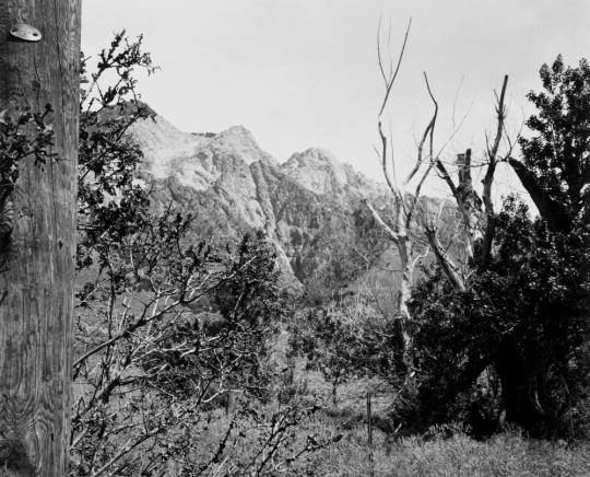 Near Willard, Utah