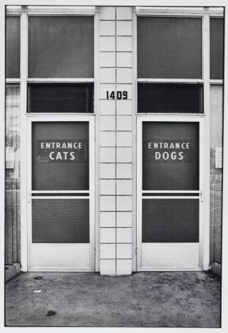 Cats & Dogs, Alabama, U.S.A.