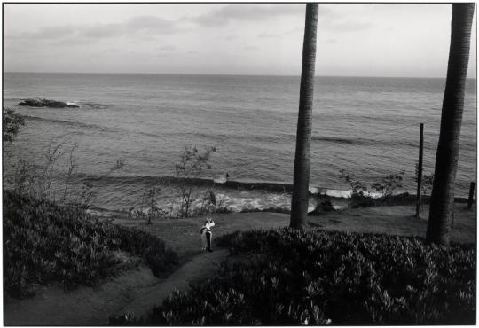 Cat and Surfer, Laguna Beach