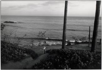 Cat and Surfer, Laguna Beach