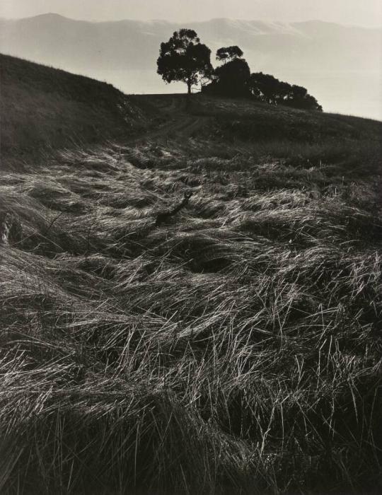 Near Belvedere, California